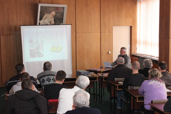 Обучение основам ультразвука